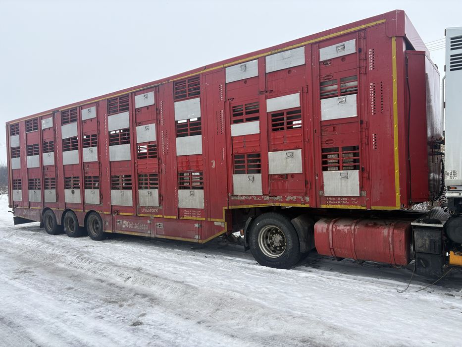 Послуги скотовоза / перевезення худоби( свині, ВРХ та МРХ)