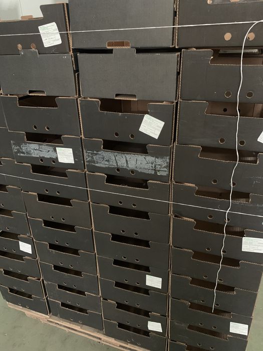 Caixas para fruta usadas