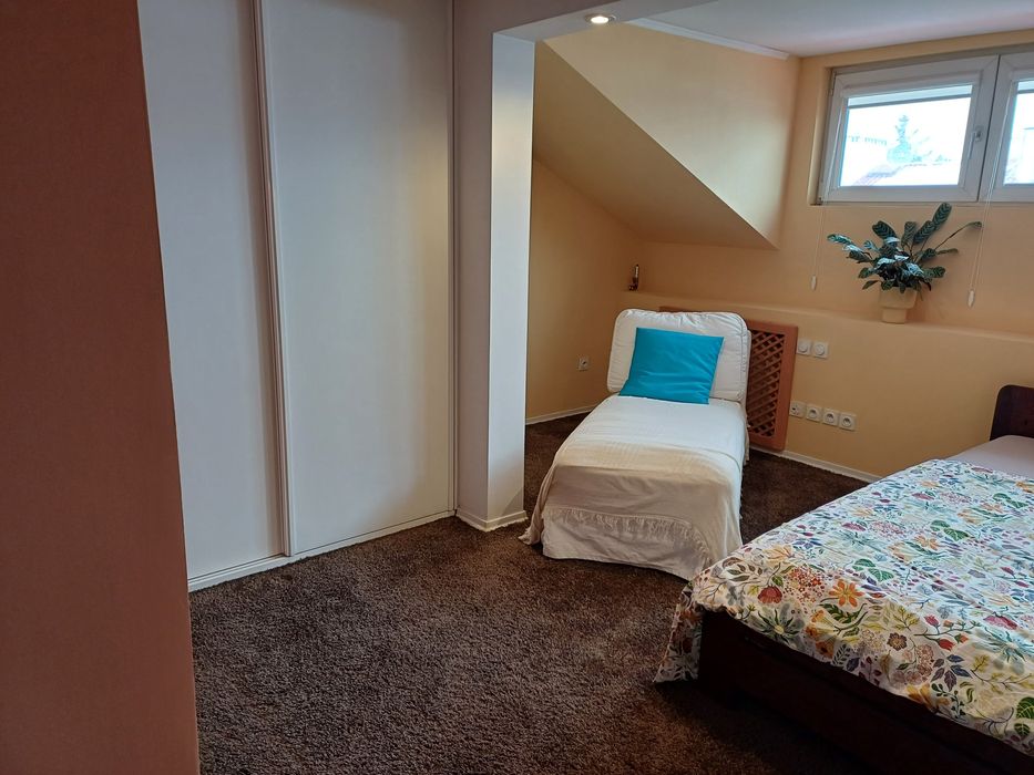 Your comfy single room in Ursynów