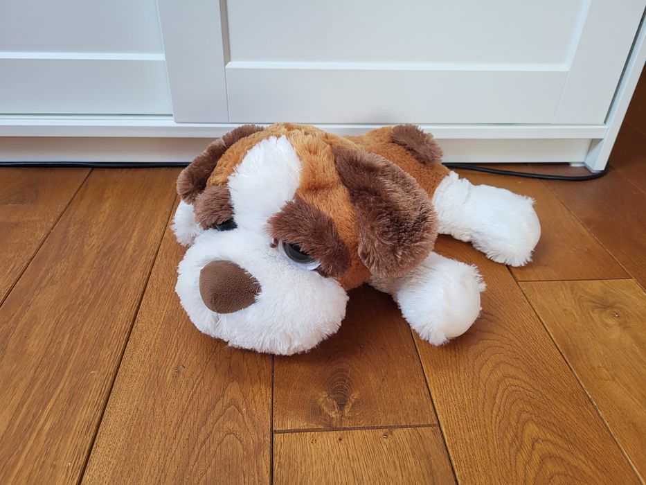 duży, leżący piesek bernardyn, pluszak, maskotka Pepco dł.50 cm