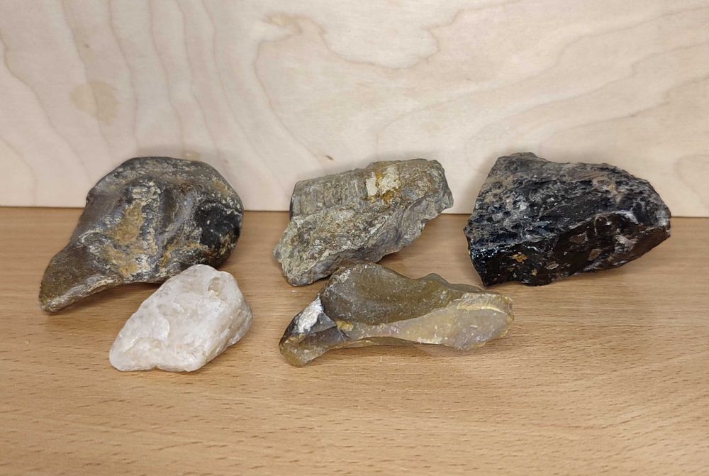 Коллекция Камней и Окаменелостей