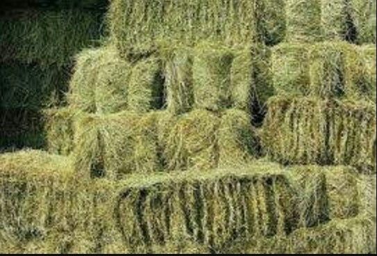 Продам сено и солому в тюках