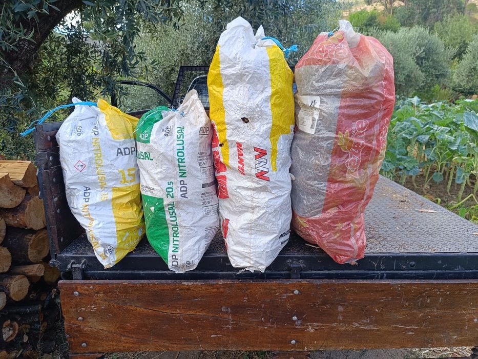 Saca com pinhas a melhor acendanha natural variedade de preço.