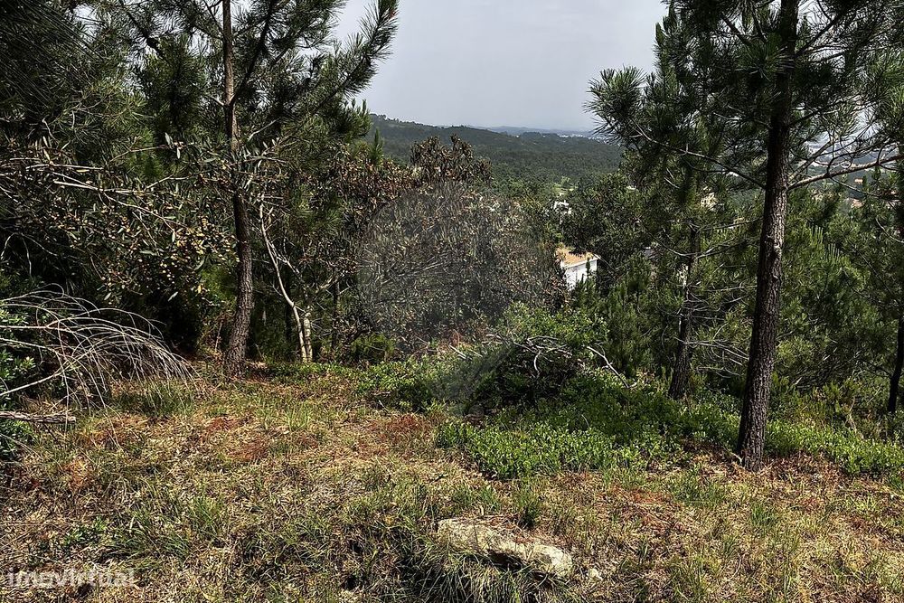 Terreno  para venda