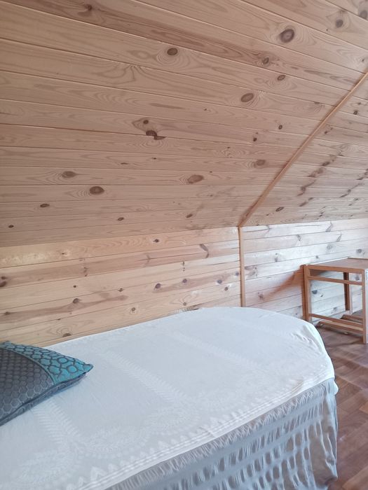 Квартира біля лісу, річки