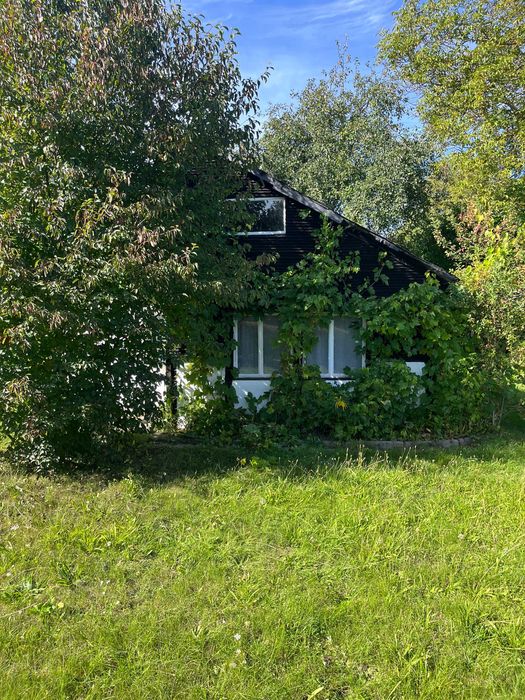 działka rekreacyjna ROD duża Ogród działkowy Zielona Góra