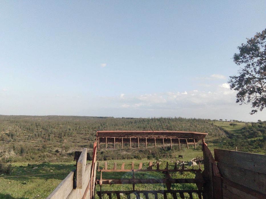 Reboque de espalhar estrume