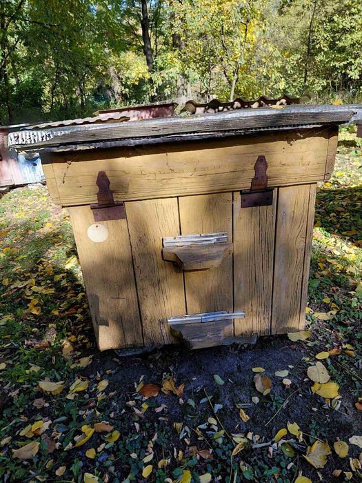 Продаються вулики дадан