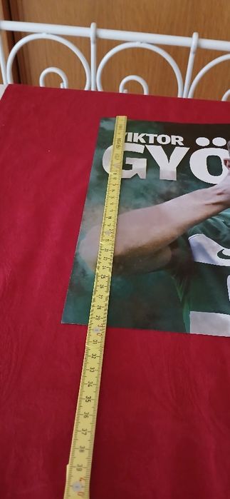 Poster Viktor Gyokeres