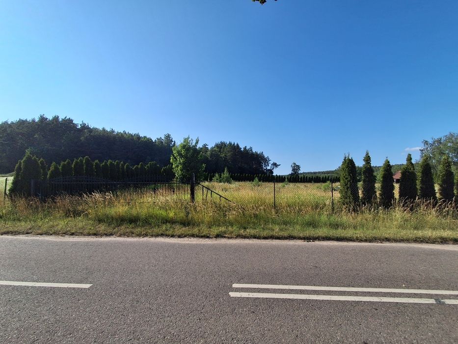 Zdjęcie 8