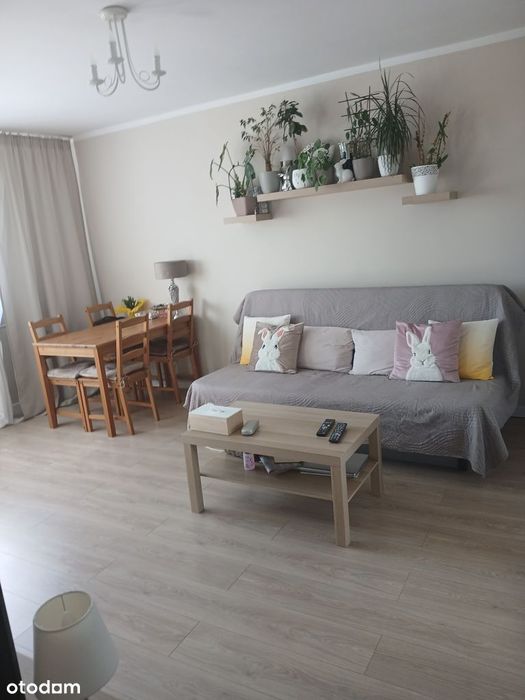 1-pokojowe mieszkanie po generalnym remoncie | Metro Bródno | 28 m² | - Widok 5