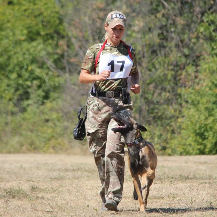 Дресирування собак.  Дрессировка собак.
