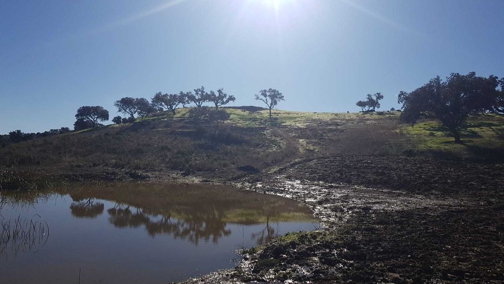 Quinta rica em água em Martim Longo