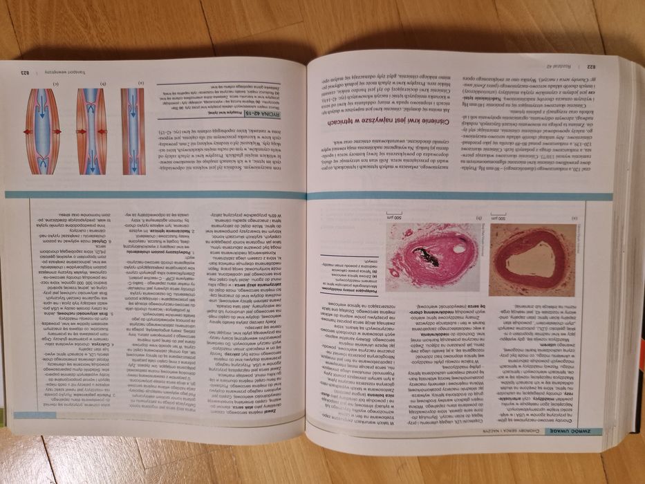 Biologia villego