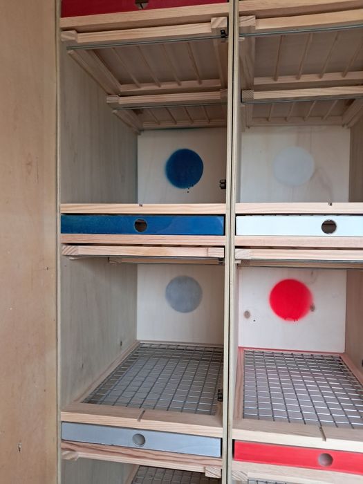 Casulos à medida para pombos