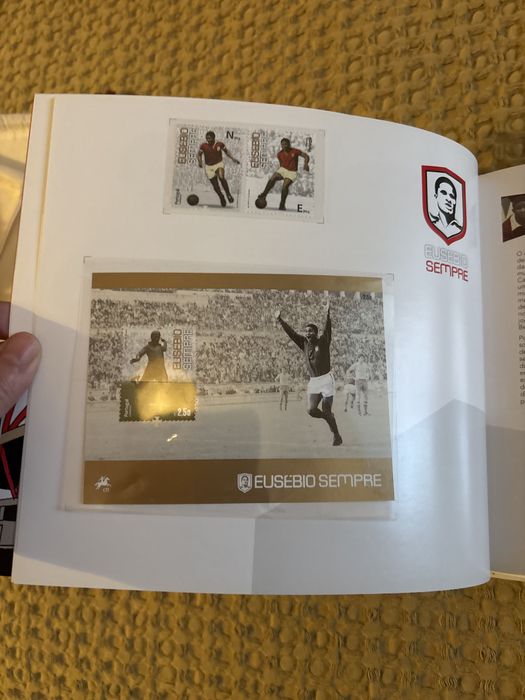 Livro "O Meu Benfica"