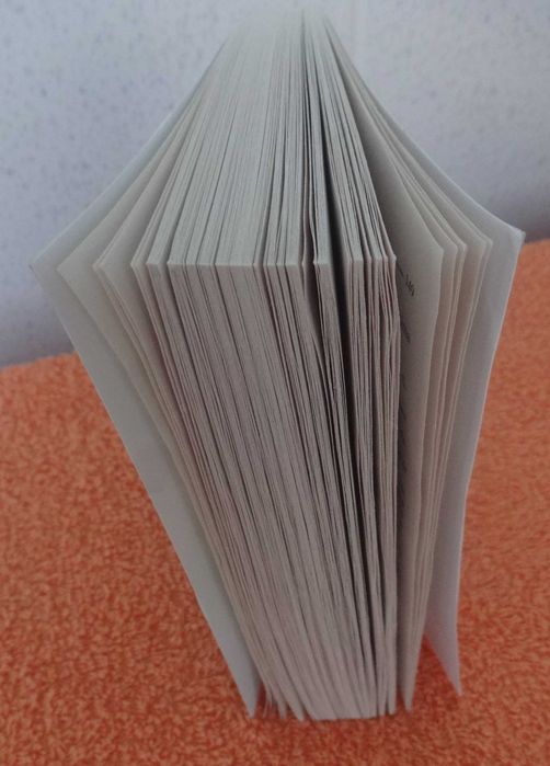 Livro “Um Anel Não é Suficiente | Lua de Mel com Outra64750497091458121