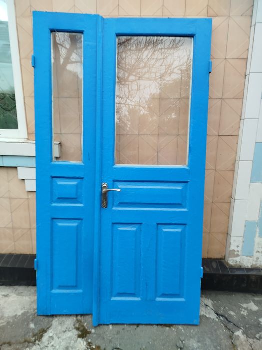 Двері вхідні в будинок
