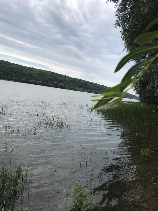 Продам Земельну ділянку біля дністра