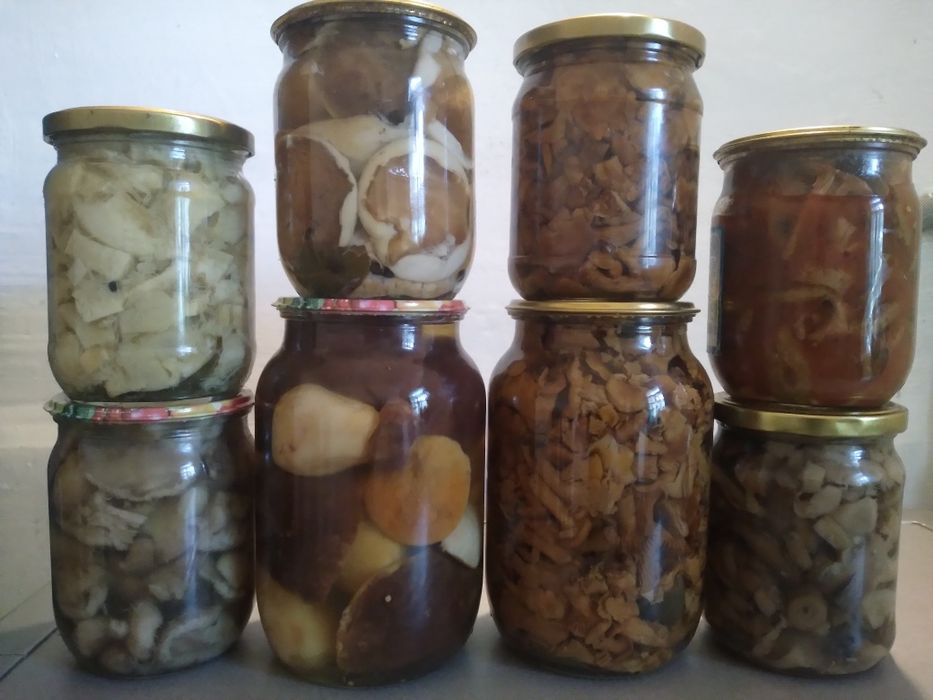 Гриби мариновані, вареня чорниці ,сушені та квашені . Гриби — купити
