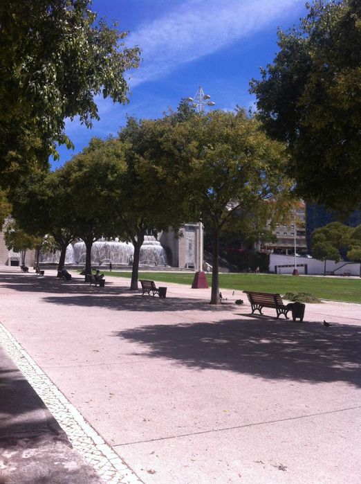 Aluguer quartos lisboa