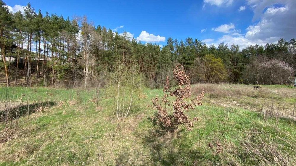 Обухівский р-н, с.Нещерів ділянка 12 соток с виходом в ліс