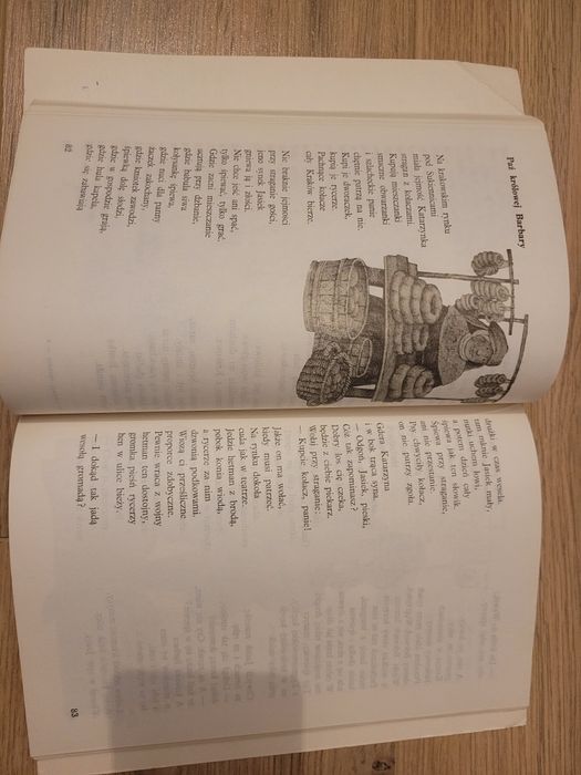 Anna Świrszczyńska Paź królowej Barbary