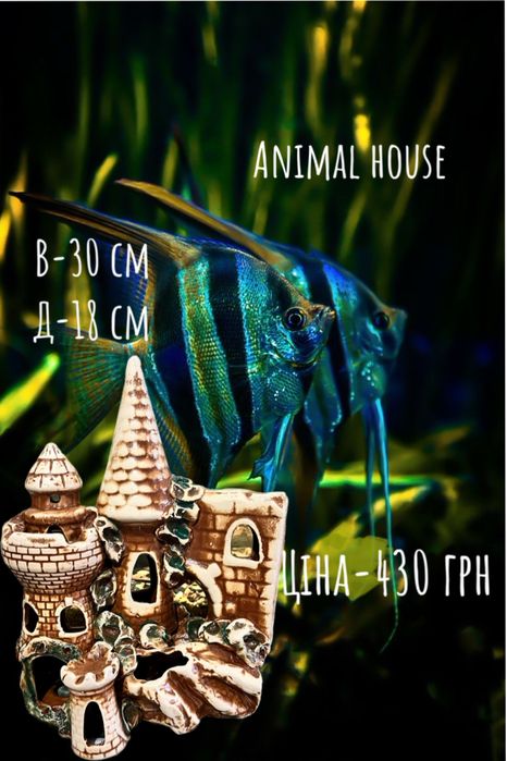 Декор до акваріуму