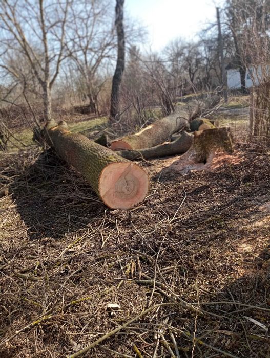 Ясен Продам ясен 9 метра довжина-робоча 4.80м .6.80м робоча 3.2 м 0.75