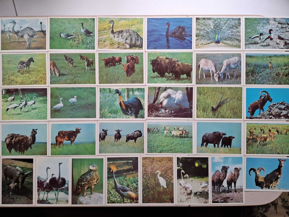 Открытки разные. Новые.