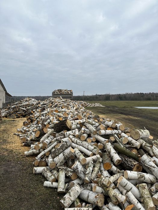 Дрова обрізки береза вільха сосна дуб граб ясен
