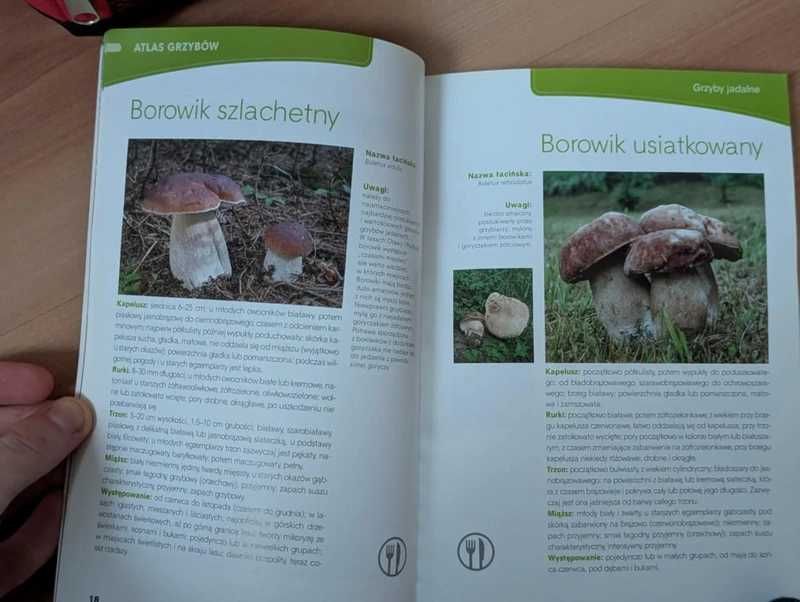 Oryginalne nowe gadżety z piwa Torba termiczna Warka, Słuchawki Żywiec