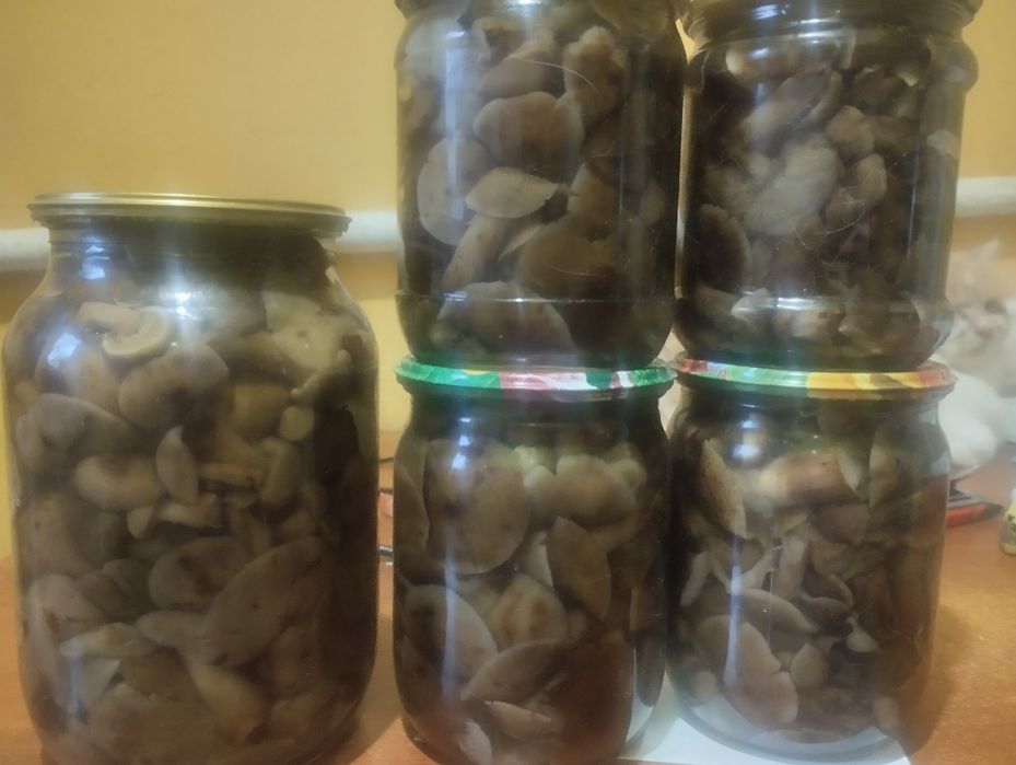 Мариновані гриби