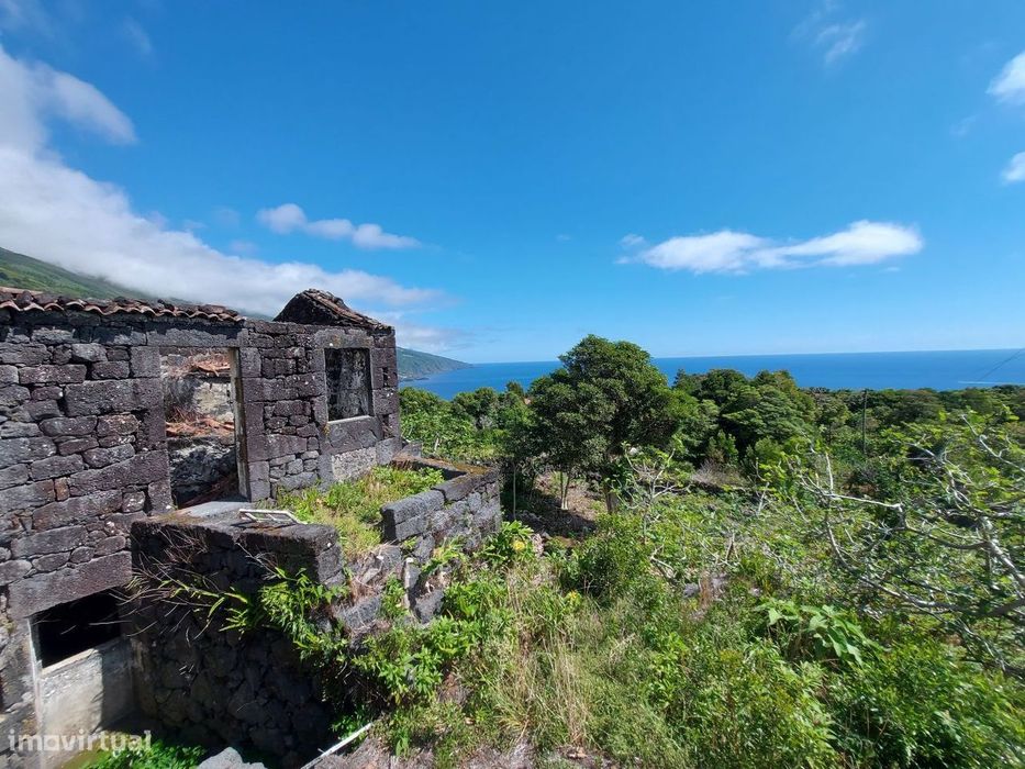 Quintinha Ribeiras - Pico Island
