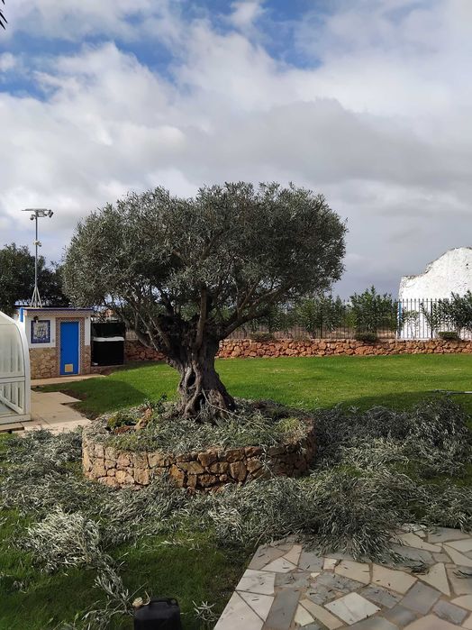 Limpeza de jardins, terrenos e afins