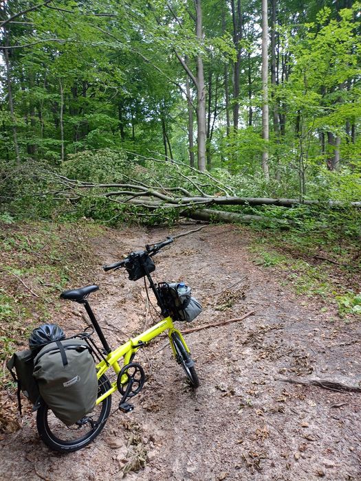 Rower składany Tern b8