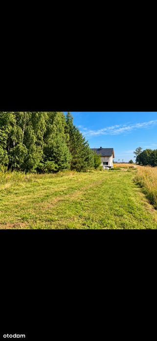 Działka budowlana 1002 m² Miszewko – możliwość dokupienia sąsiedniej - Widok 4