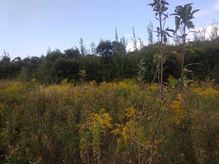 Земельна ділянка, 10 сотих, зручний заїзд із шоссе, 6 хв до міста _RR