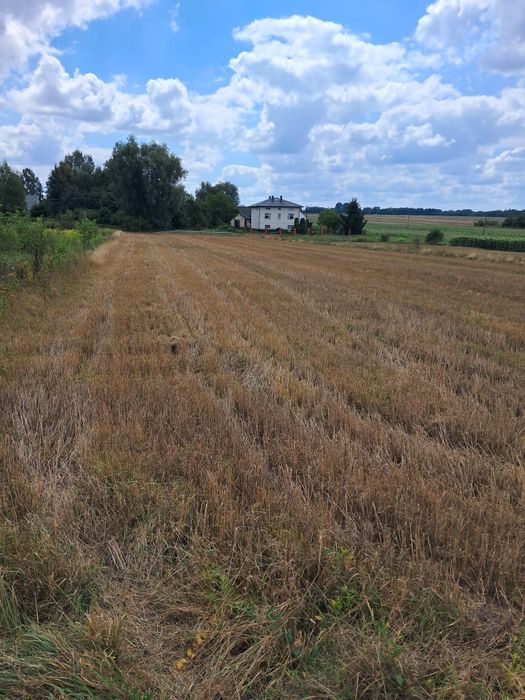 Sprzedam Działkę Blisko Radomia - Widok 4