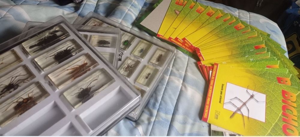 Coleção "Os Bichos" National Geographic