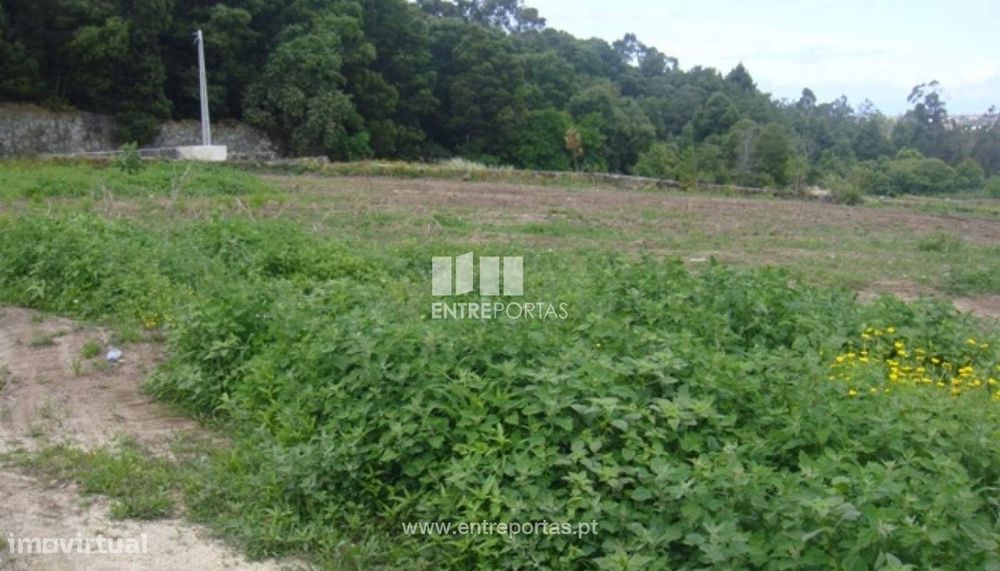 Terreno - Deão — Geraz Do Lima (Santa Maria, Santa Leocádia E Moreira) E Deão, Viana do Castelo