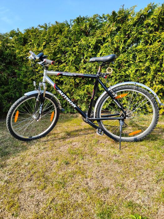 rower Author Basic SX