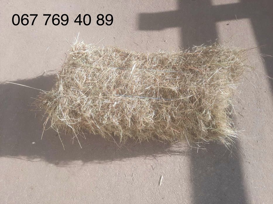 Продам якісне лугове сіно в тюках
