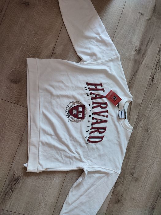 Bluza Harvard Stradivarius XL