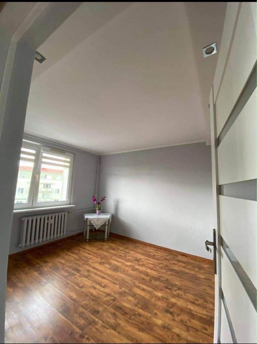 mieszkanie na wynajem (od lutego)