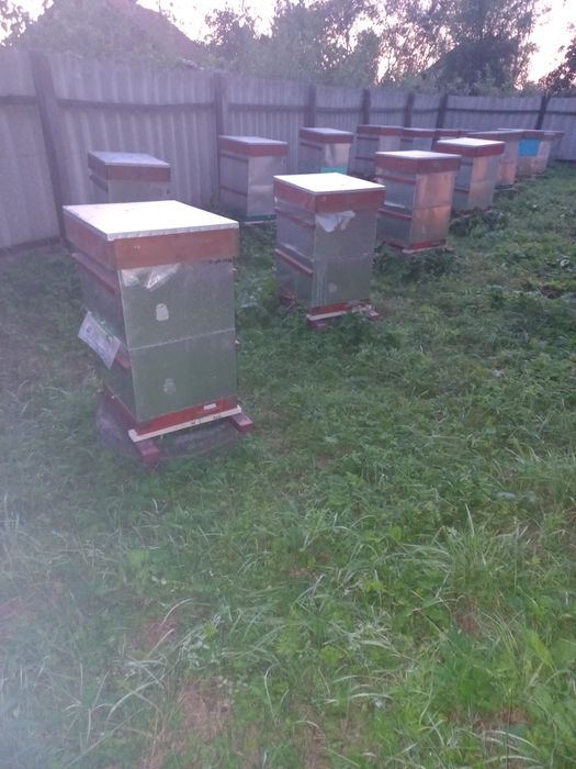 Вулики корисні 8 рамочні