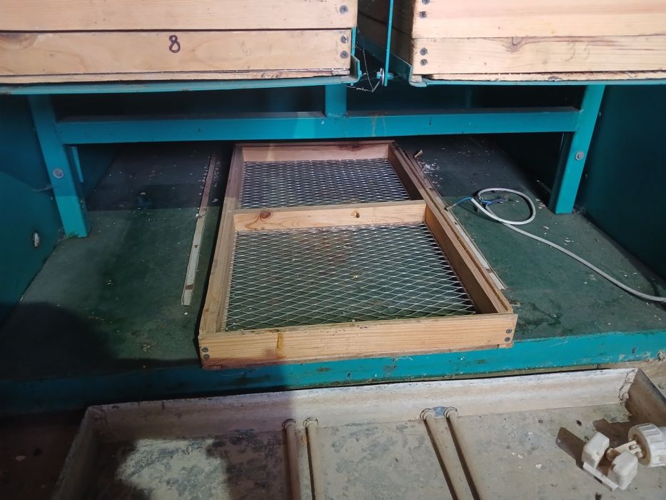 Инкубатор Инка 3000