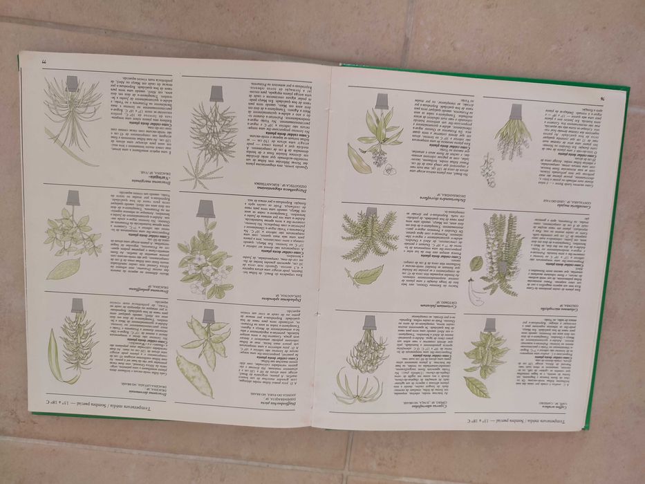 O Jardim em sua casa - George Seddon