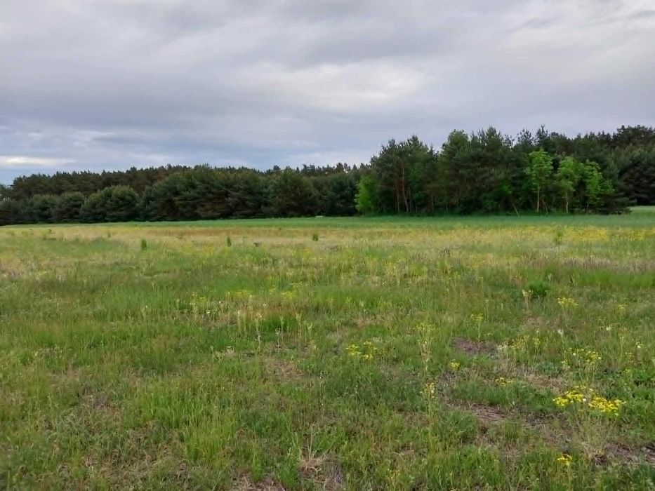 działka budowlana nad jeziorem na sprzedaż