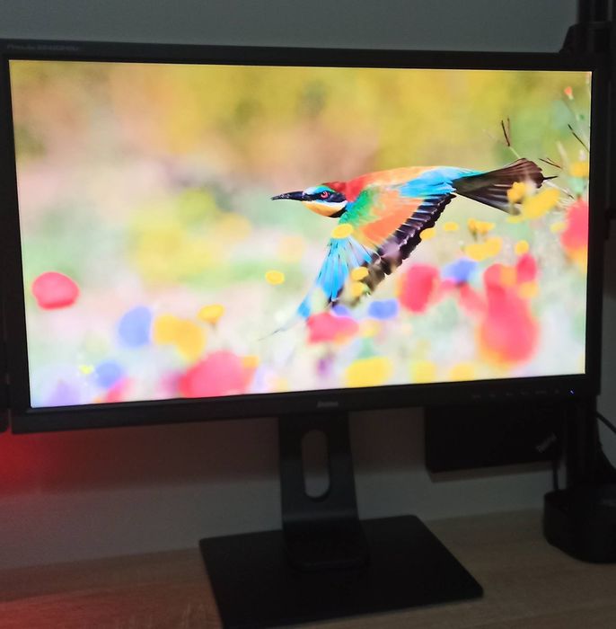 Monitor iiyama ProLite B2483HSU-B5 24" TN 1ms FlickerFree BlueLightReduction VGA/DP/HDMI
